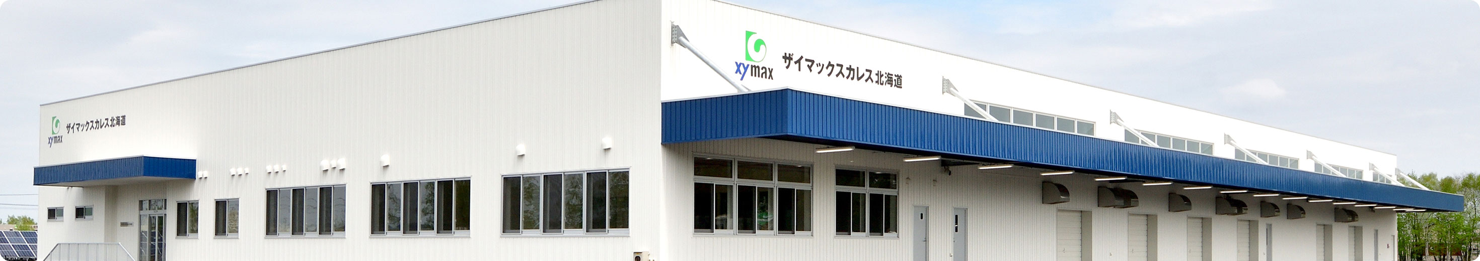 企業情報