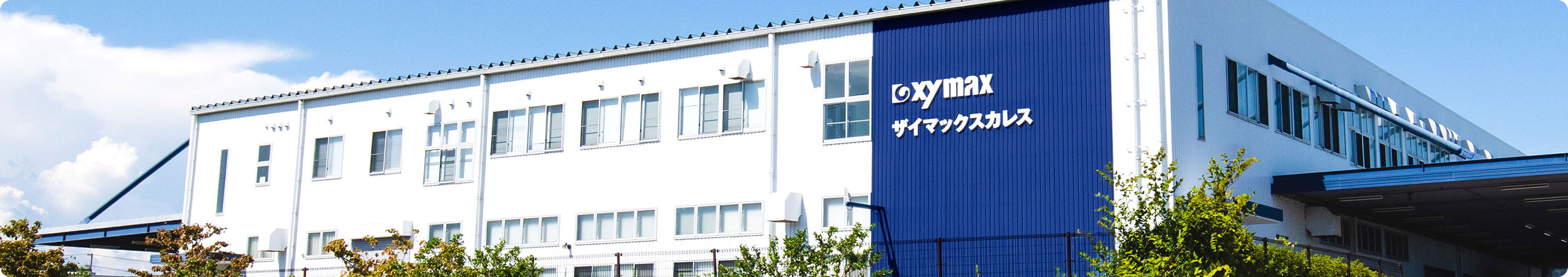 企業情報